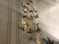 BUTTERFLY-Wall-decor-item-Adriani-e-Rossi-edizioni-323264-rele2adc63e.jpg thumb image